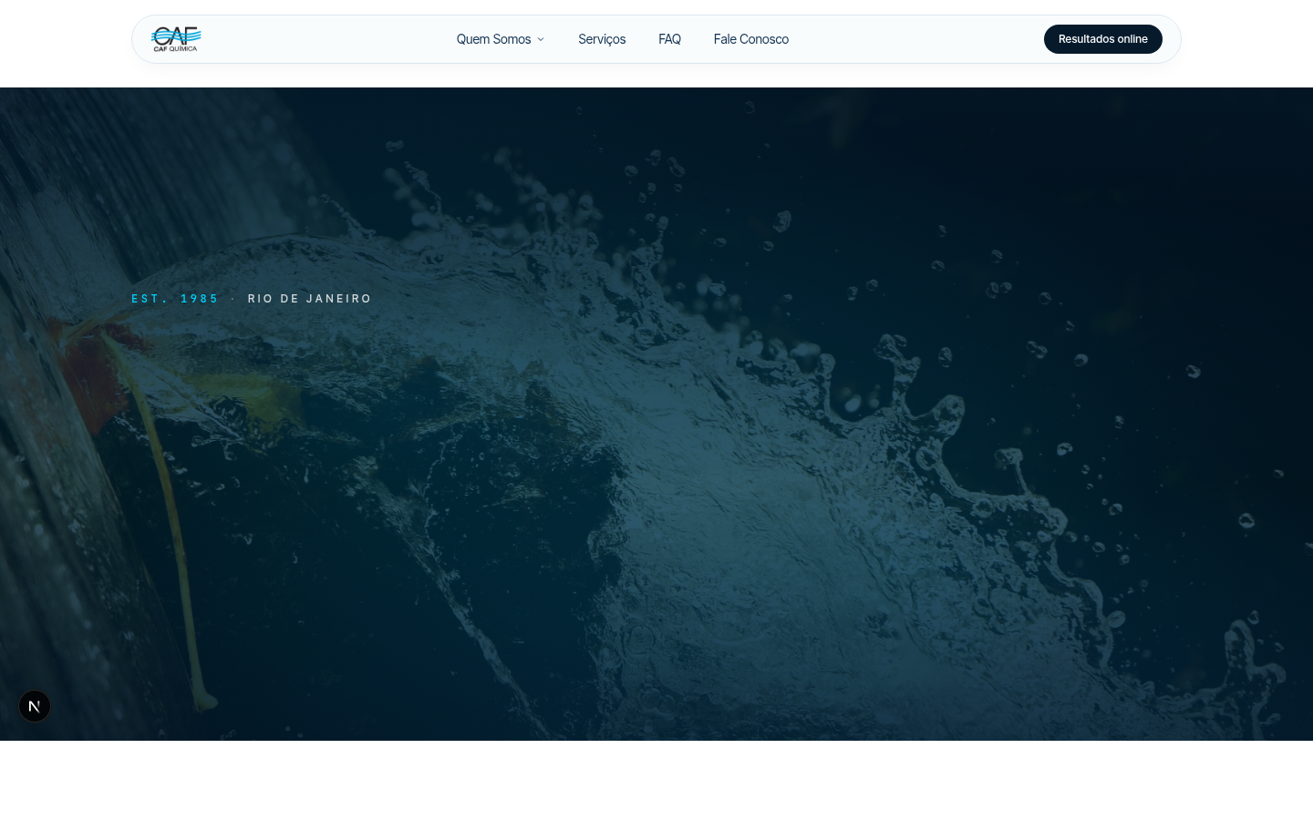 Preview do site Premium